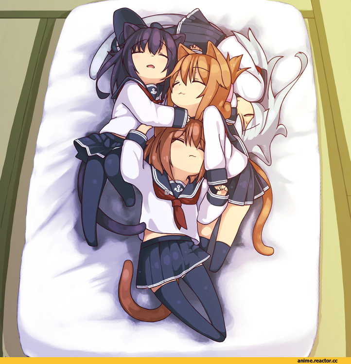 Kantai Collection, akatsuki (kantai collection), Hibiki (Kantai Collection), ikazuchi (kantai collection), Inazuma (Kantai Collection), magune toron, Anime Art, Animal Ears, neko, Anime