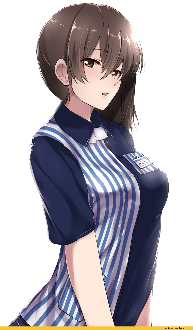 Kaga (Kantai Collection), Kantai Collection, Lawson, tai (nazutai), Anime