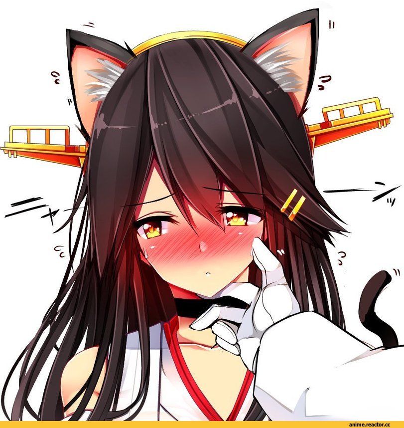Tsukui Kachou, Anime Art, Haruna (Kantai Collection), Kantai Collection, Admiral (Kantai Collection), Nichijou, neko, Animal Ears, Anime