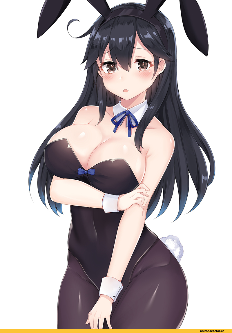 Coffeedog, Ushio, Kantai Collection, Bunnysuit, Anime