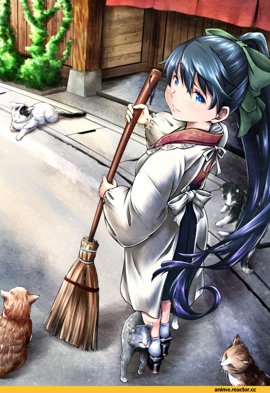 Houshou (Kantai Collection), Kantai Collection, Anime