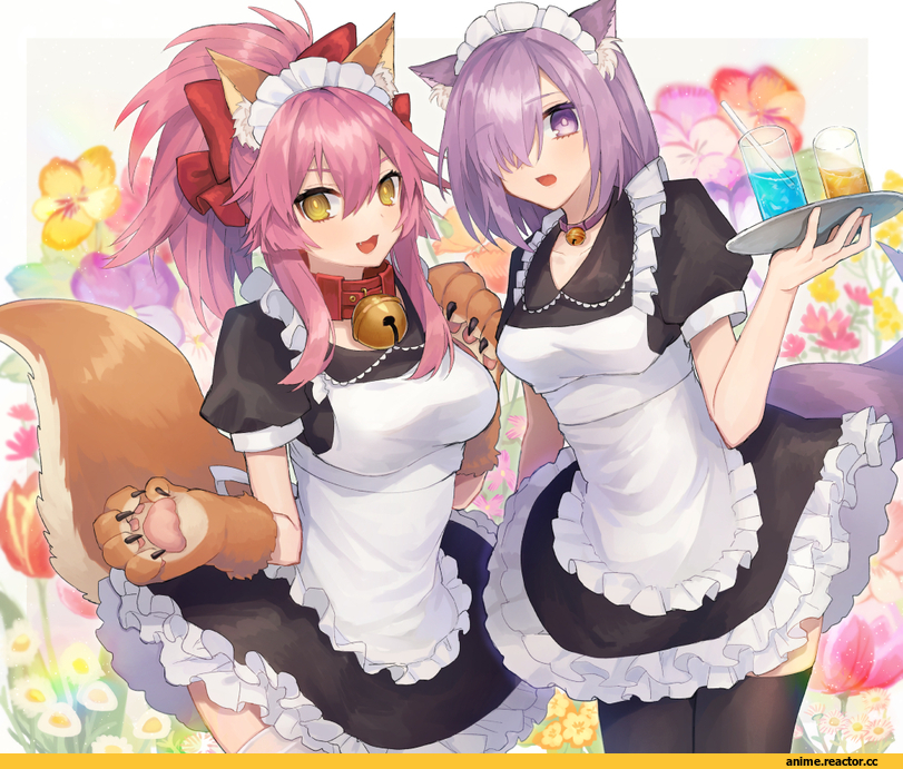 Fate/Grand Order, Fate (series), Caster (Fate/Extra), Fate/Extra, Shielder (Fate/grand order), .com (cu 105), Maid, Animal Ears, Tamamo Cat (Fate/grand order), Anime