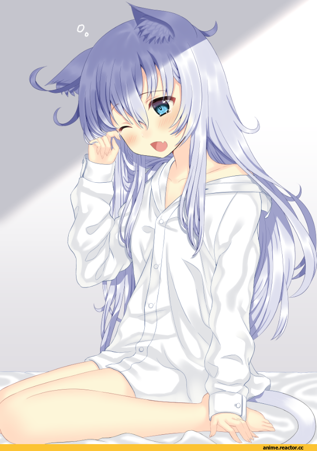 Kantai Collection, Hibiki (Kantai Collection), toujou mina, neko, Animal Ears, Anime