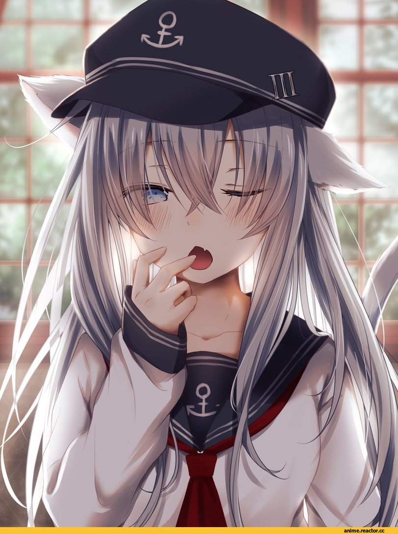 Kantai Collection, Hibiki (Kantai Collection), haruno suzune, Anime Art, neko, Animal Ears, Anime