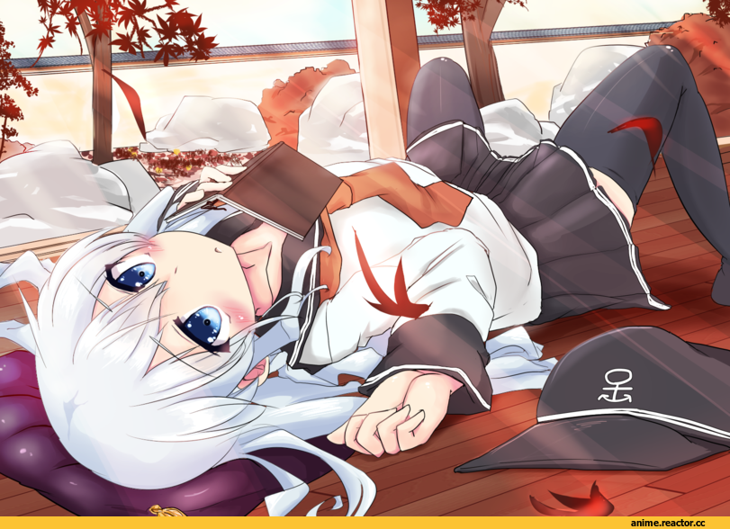 Kantai Collection, Hibiki (Kantai Collection), Anime