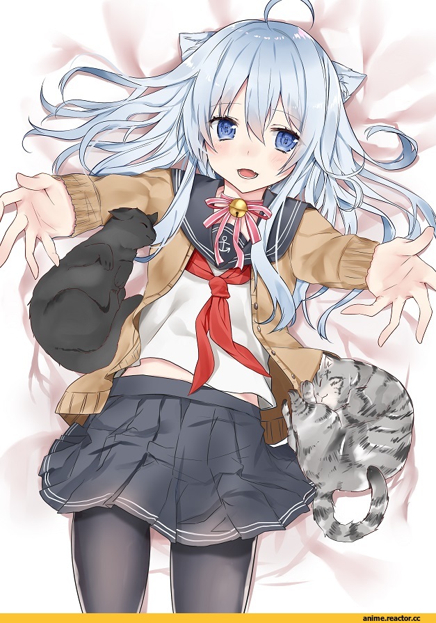 Kantai Collection, Hibiki (Kantai Collection), hoshimiya nazuna, nekomimi, Animal Ears, Anime