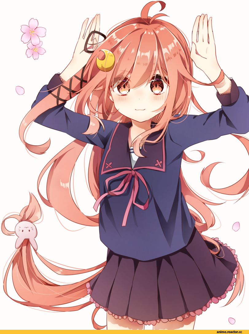 Kantai Collection, Uzuki (Kantai Collection), haota rinka, Anime