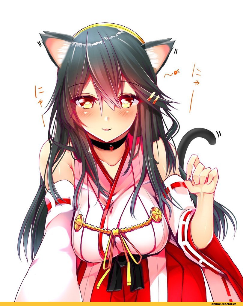 Haruna (Kantai Collection), Kantai Collection, Tsukui Kachou, Anime Art, neko, Animal Ears, Anime