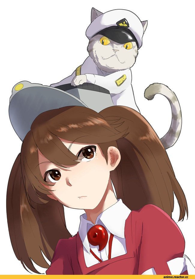 tachikoma (mousou teikoku), Ryuujou, Kantai Collection, Admiral (Kantai Collection), Anime