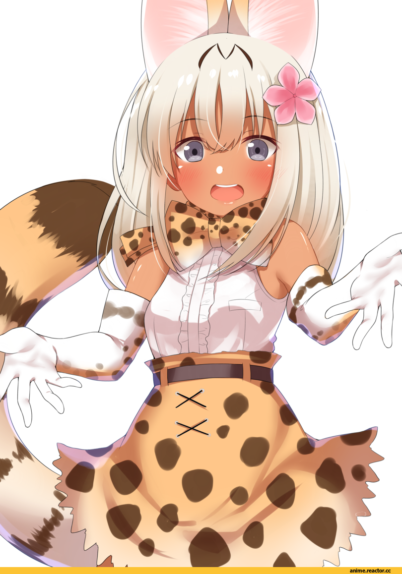 Go-1, Ro-500 (Kantai Collection), Kantai Collection, crossover, Kemono Friends, Animal Ears, Anime