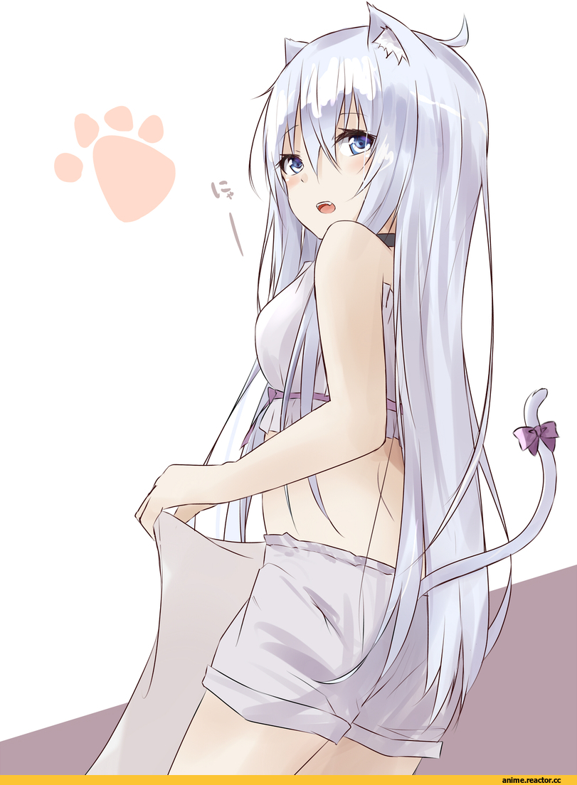 Saku (Kudrove), Hibiki (Kantai Collection), Kantai Collection, neko, Animal Ears, Anime