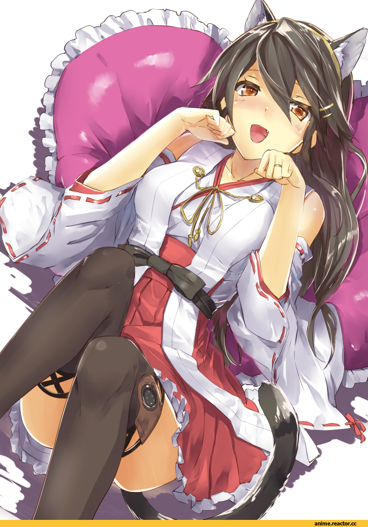 kyougoku touya, Haruna (Kantai Collection), Kantai Collection, neko, Animal Ears, Anime