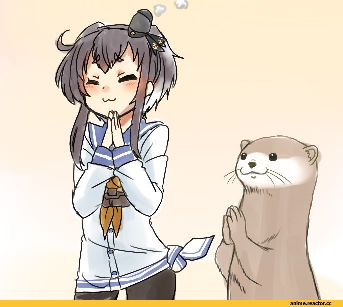 Kantai Collection, Tokitsukaze (Kantai Collection), kozou (rifa), Anime
