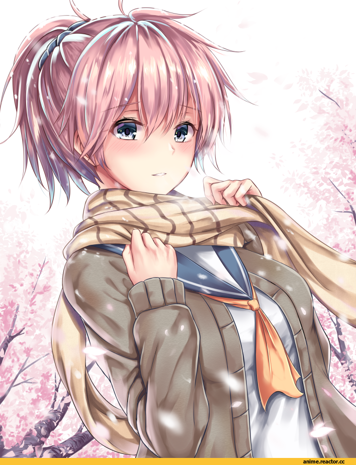 Tama Satou, Aoba (Kantai Collection), Kantai Collection, Anime
