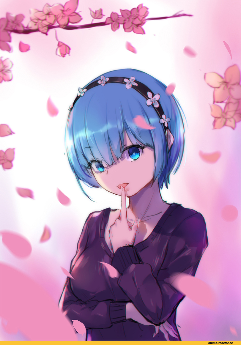 Rem (re zero), Re Zero Kara Hajimeru Isekai Seikatsu, wujia xiaozi, Anime