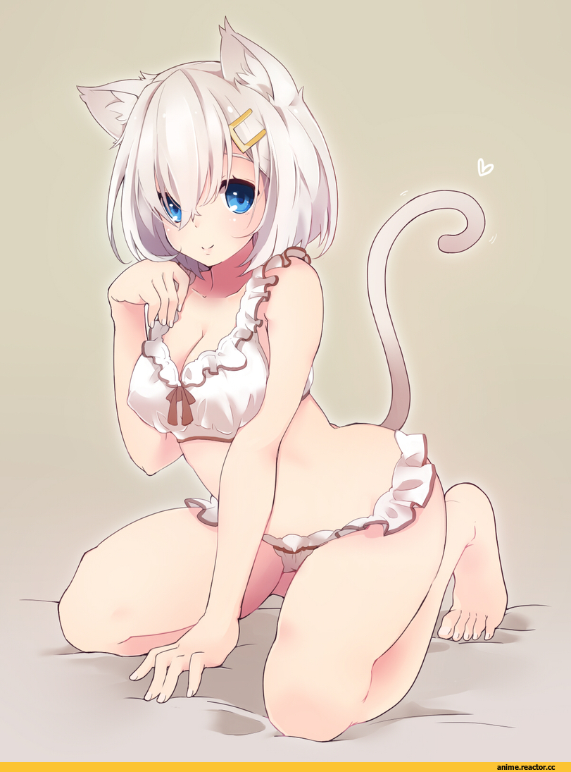 Hamakaze (Kantai Collection), Kantai Collection, neko, Animal Ears, Adult pantsu, Anime Ero, Anime