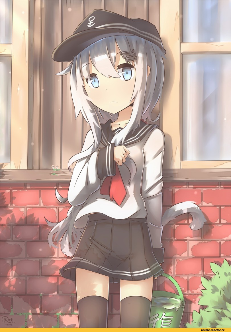 Hibiki (Kantai Collection), Kantai Collection, nekomimi, Animal Ears, Hinbackc, Anime