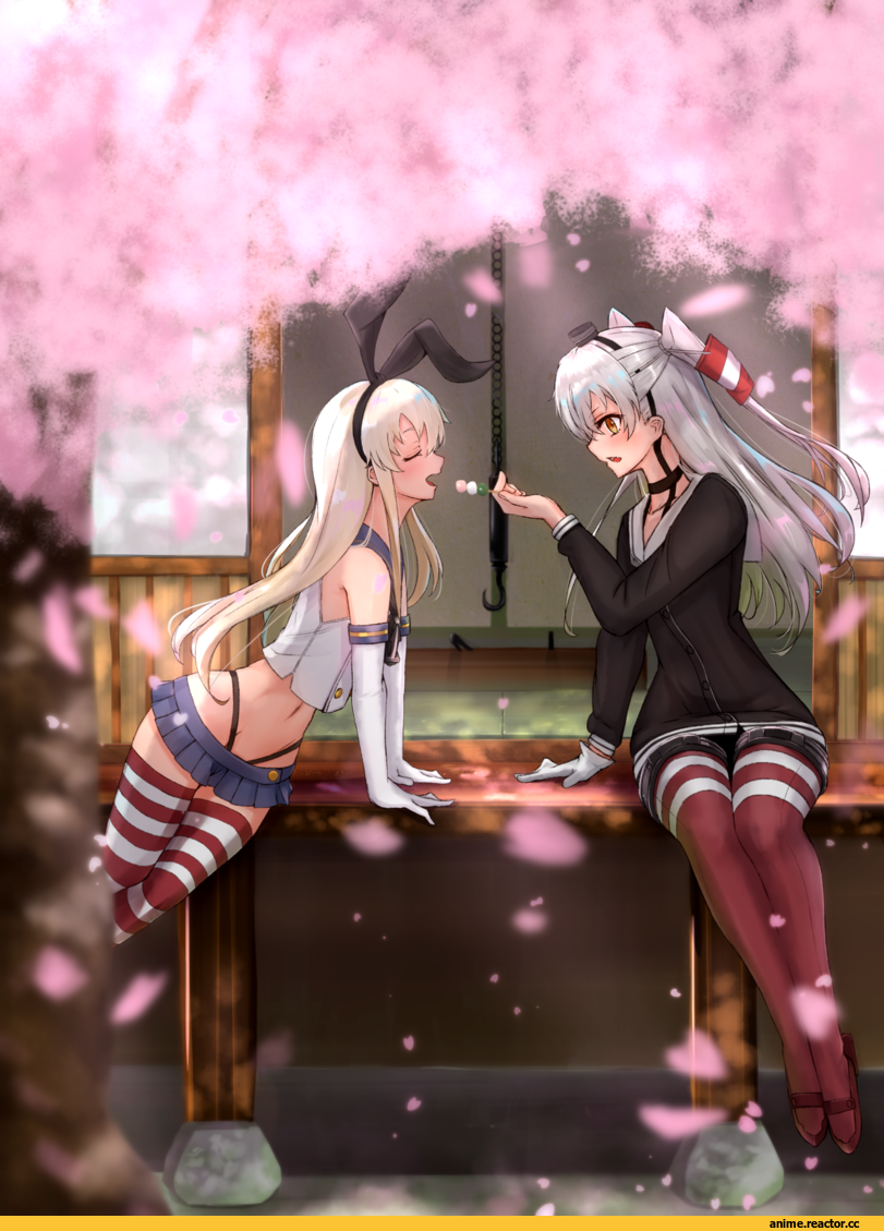 kamome donburi, Amatsukaze (Kantai Collection), Kantai Collection, Shimakaze, Anime