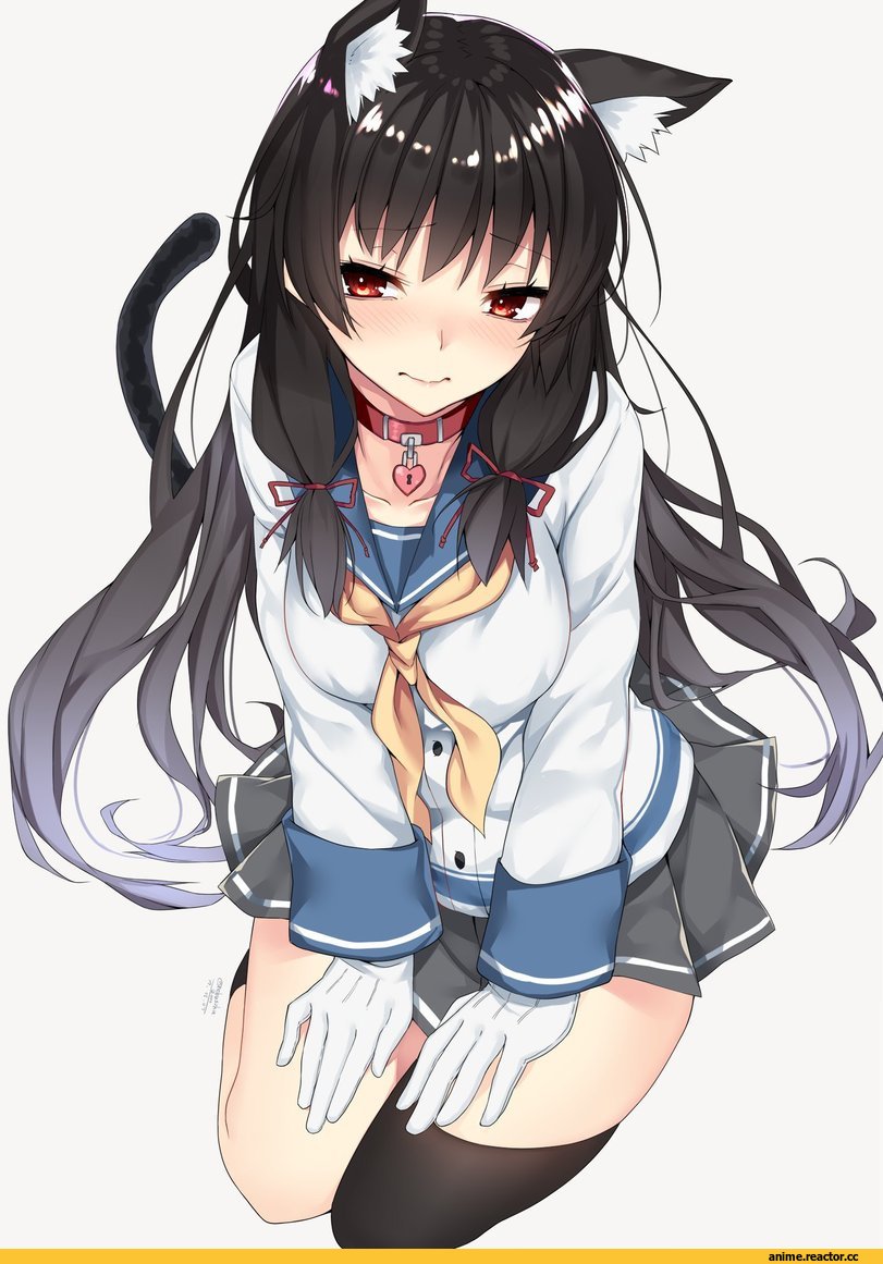 Nebusoku, Isokaze (Kantai Collection), Kantai Collection, neko, Animal Ears, Anime