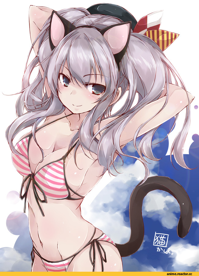 Kashima (Kantai Collection), Kantai Collection, yumesato makura, nekomimi, Animal Ears, Anime Ero Swim, Anime Ero, Anime