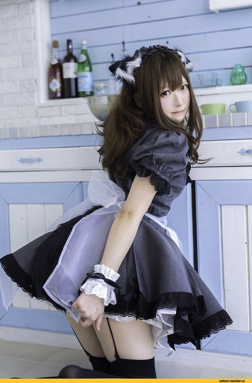 Zettai Ryouiki, разное, Maid, Animal Ears, Anime