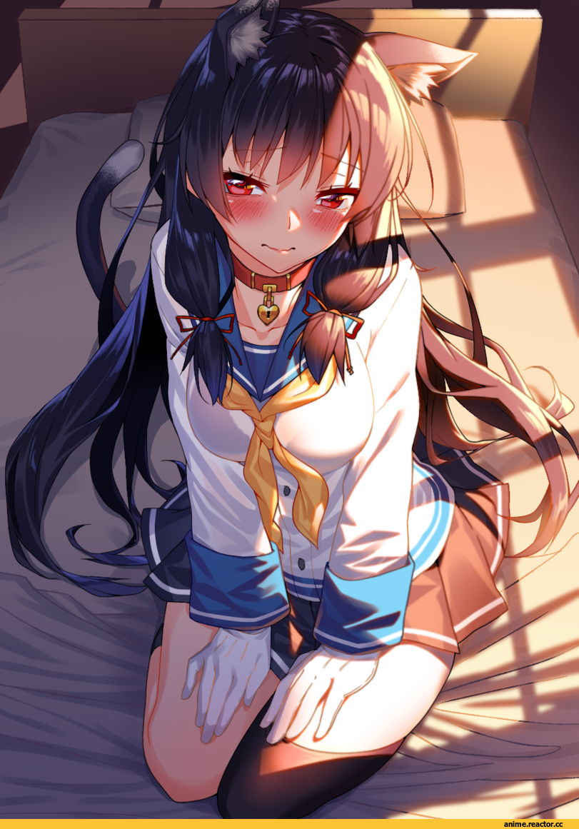 blew andwhite, Isokaze (Kantai Collection), Kantai Collection, Nebusoku, neko, Animal Ears, Anime