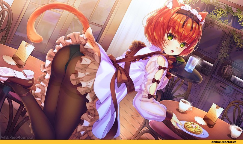 Rezo☆Sempai, neko, Animal Ears, Maid, Anime Ero Pantsu, Anime Ero, Anime
