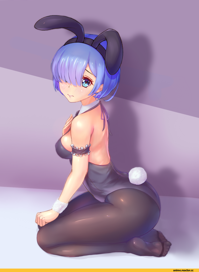 Rem (re zero), Re Zero Kara Hajimeru Isekai Seikatsu, John 117, Bunnysuit, Anime