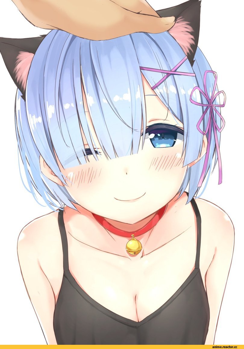 Rem (re zero), Re Zero Kara Hajimeru Isekai Seikatsu, karutamo, nekomimi, Animal Ears, Anime