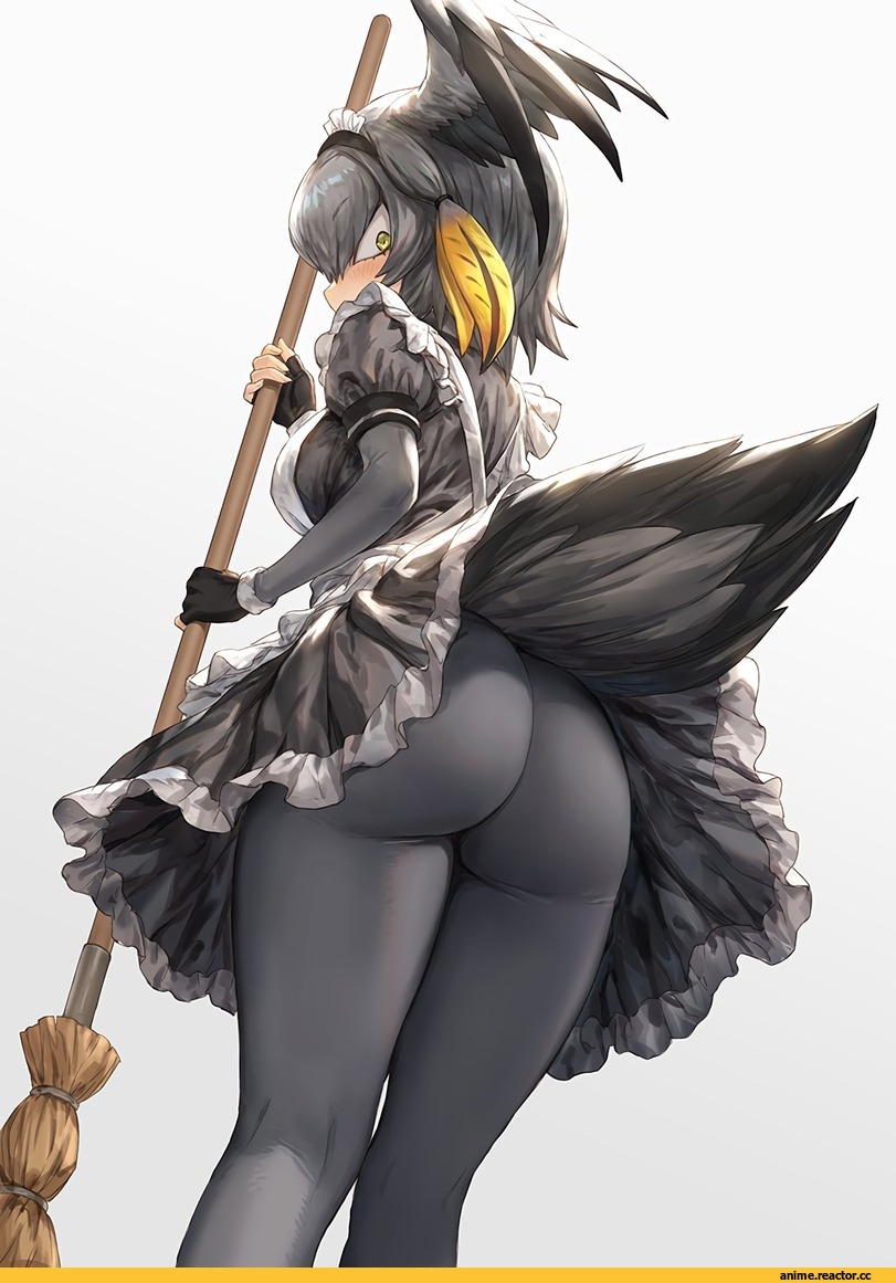 Shoebill (Kemono Friends), Kemono Friends, guchico, Maid, Anime Ero Ass, Anime Ero, Anime