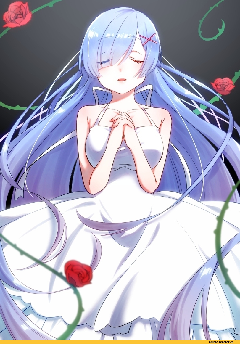 Re Zero Kara Hajimeru Isekai Seikatsu, Rem (re zero), Anime