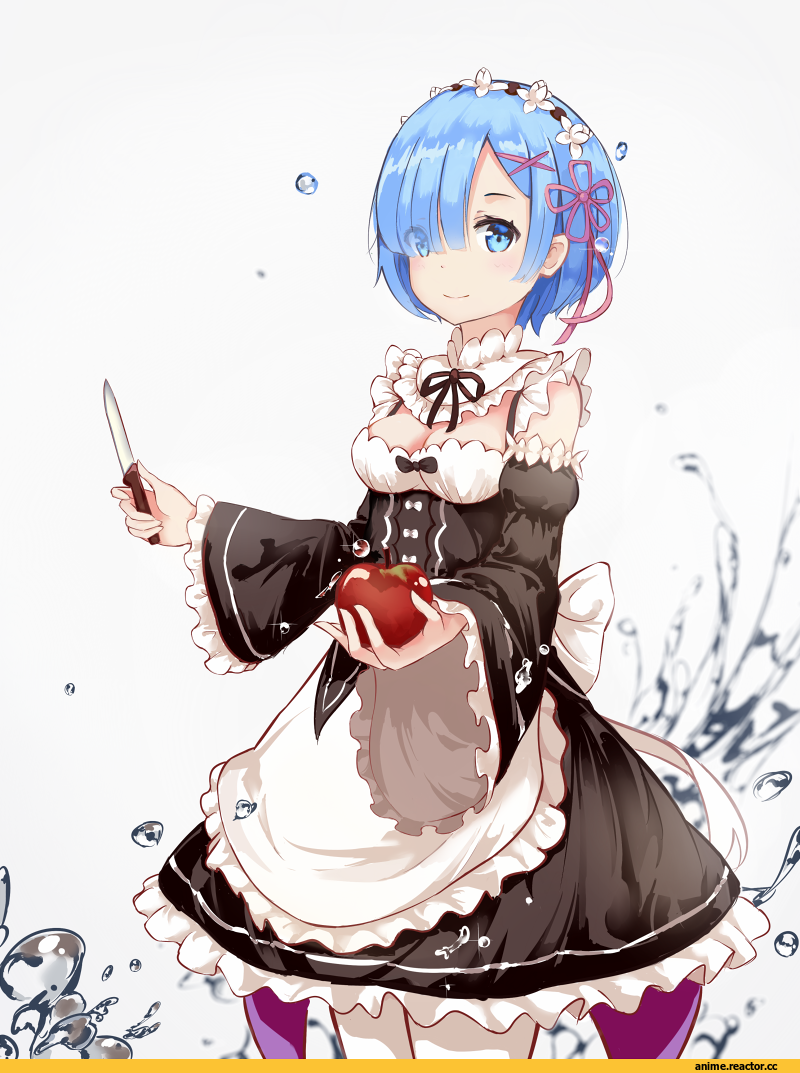 Rem (re zero), Re Zero Kara Hajimeru Isekai Seikatsu, Anime
