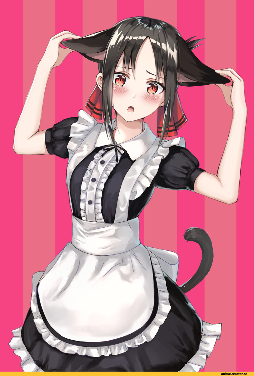 KoKoSe, kaguya-sama wa kokurasetai ~tensai-tachi no renai zunousen~, Kaguya Shinomiya, nekomimi, Animal Ears, Maid, Anime