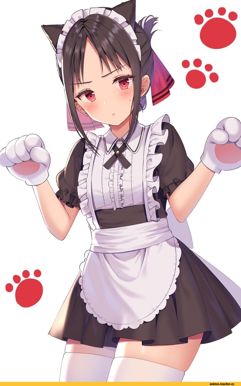 Shinomiya Kaguya, kaguya-sama wa kokurasetai ~tensai-tachi no renai zunousen~, nekomimi, Animal Ears, Maid, izumo neru, Anime