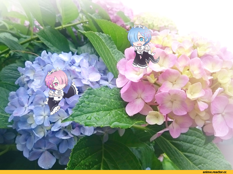 Re Zero Kara Hajimeru Isekai Seikatsu, Rem (re zero), Ram (Re Zero), chi re0, Тульпа, Anime