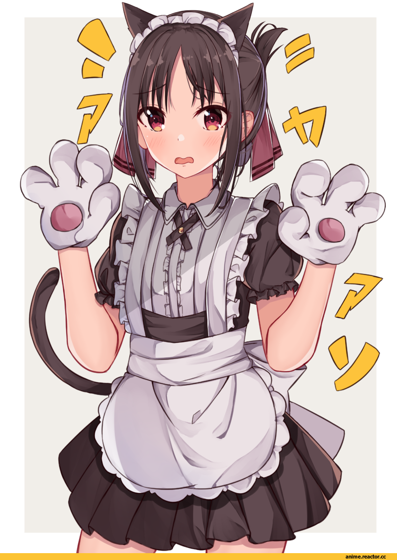 Shinomiya Kaguya, kaguya-sama wa kokurasetai ~tensai-tachi no renai zunousen~, Maid, nekomimi, Animal Ears, norazura, Anime