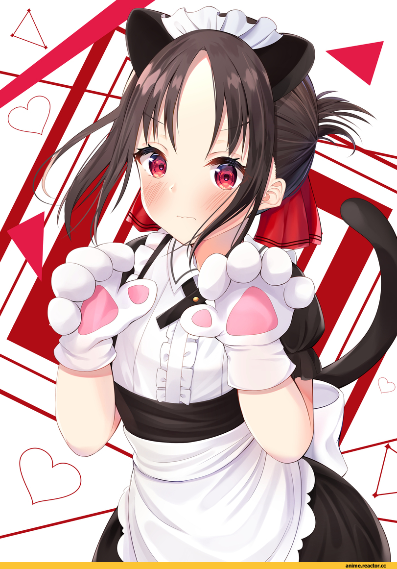 Shinomiya Kaguya, kaguya-sama wa kokurasetai ~tensai-tachi no renai zunousen~, Maid, nekomimi, Animal Ears, nari (narikashi), Anime