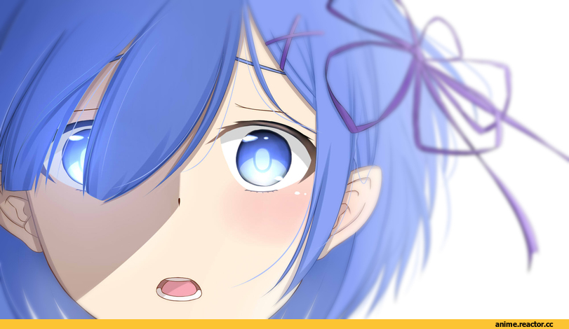 Rem (re zero), Re Zero Kara Hajimeru Isekai Seikatsu, Ram (Re Zero), Anime
