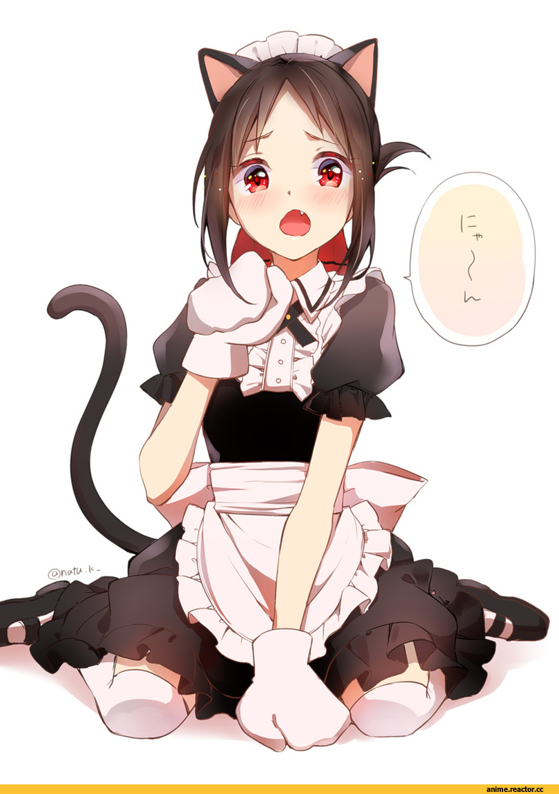 Shinomiya Kaguya, kaguya-sama wa kokurasetai ~tensai-tachi no renai zunousen~, nekomimi, Animal Ears, Maid, Hazuki Natsu, Anime Art, Anime