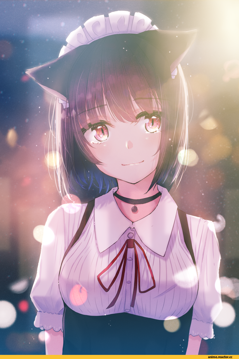 hyakunin momoko, Anime Original, nekomimi, Animal Ears, Maid, Anime