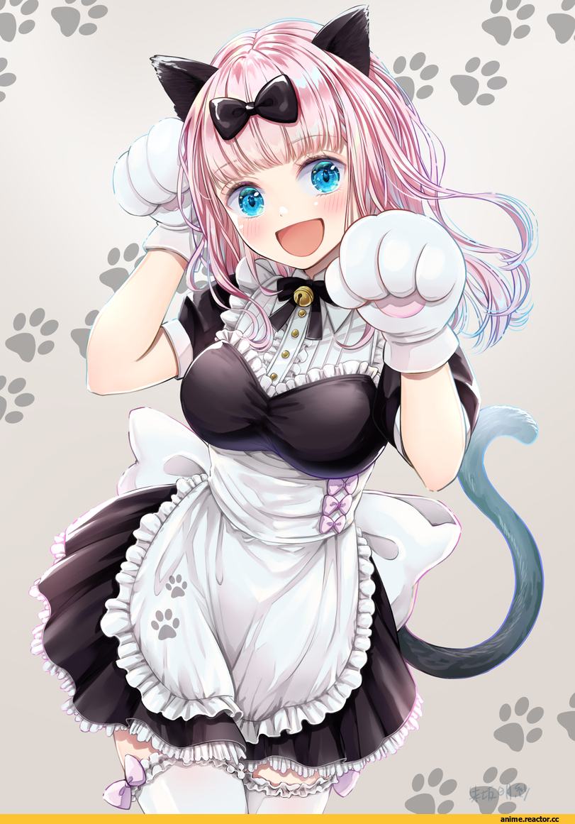 Chika Fujiwara, kaguya-sama wa kokurasetai ~tensai-tachi no renai zunousen~, akasaka asa, nekomimi, Animal Ears, Maid, Anime