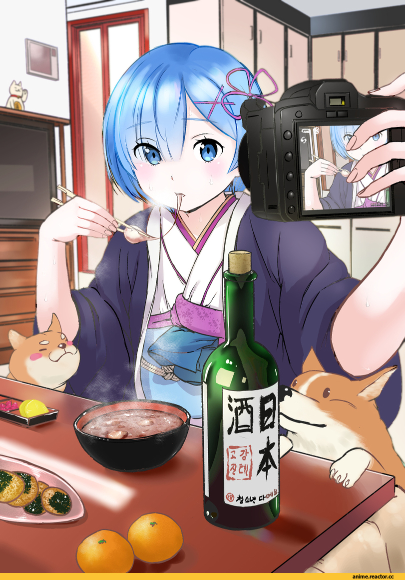 Re Zero Kara Hajimeru Isekai Seikatsu, Rem (re zero), Anime