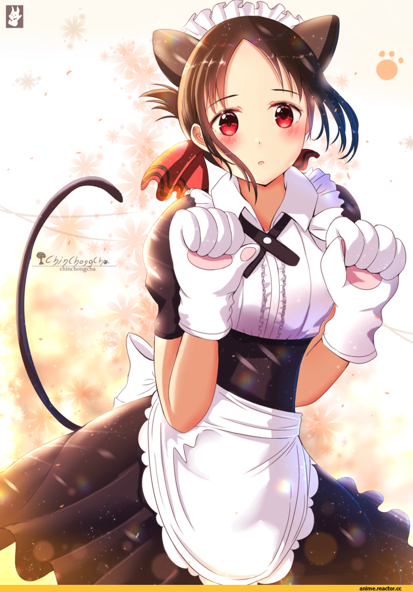 Kaguya Shinomiya, kaguya-sama wa kokurasetai ~tensai-tachi no renai zunousen~, nekomimi, Animal Ears, Maid, Chinchongcha, artist, Anime