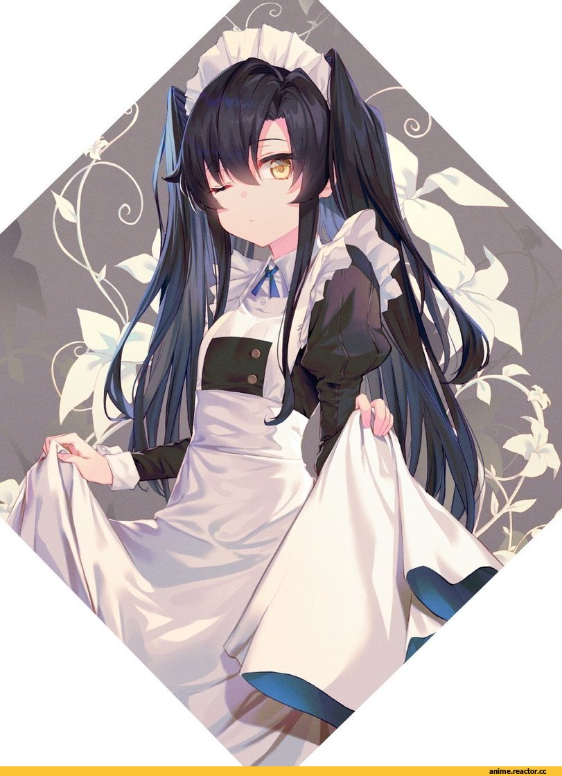 Maid, soya (torga), Anime