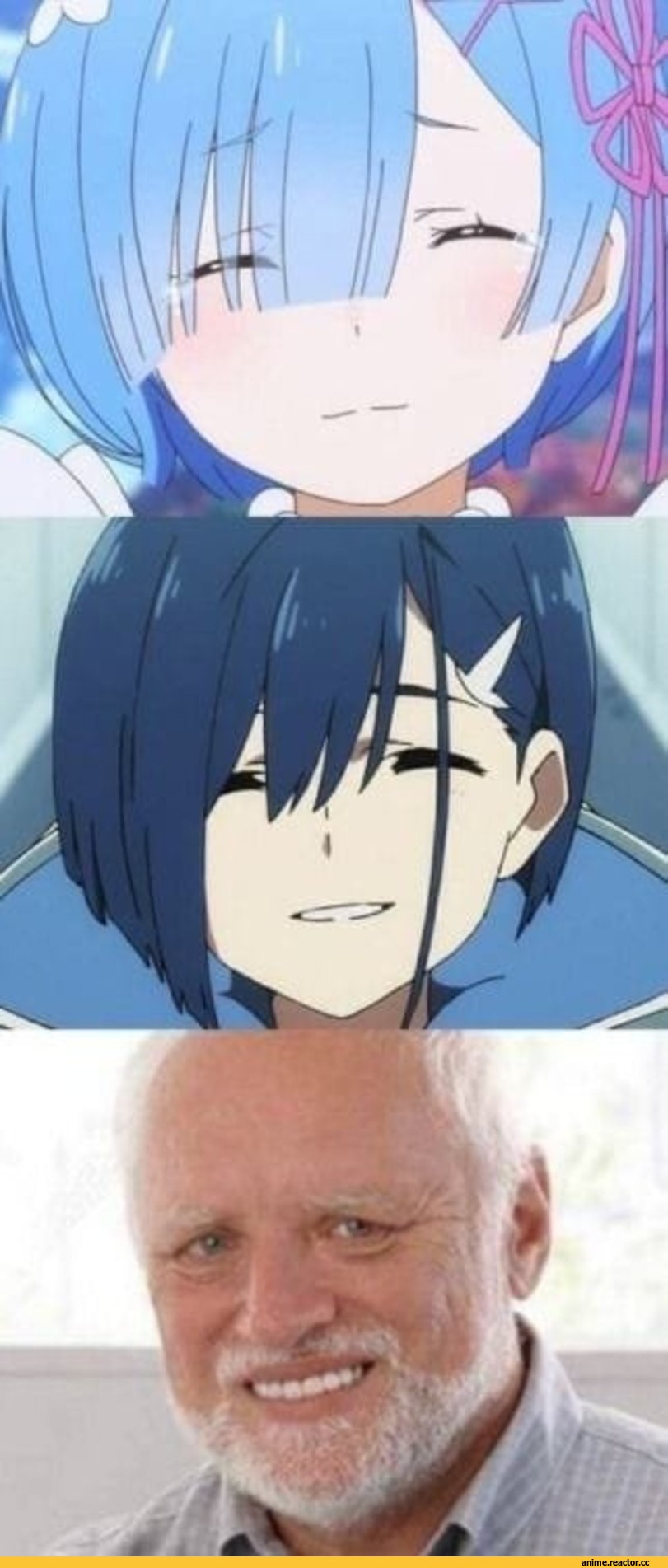 Hide The Pain Harold, Rem (re zero), Re Zero Kara Hajimeru Isekai Seikatsu, Ichigo (darling in the franxx), Darling In The Franxx, I love Emilia, Anime