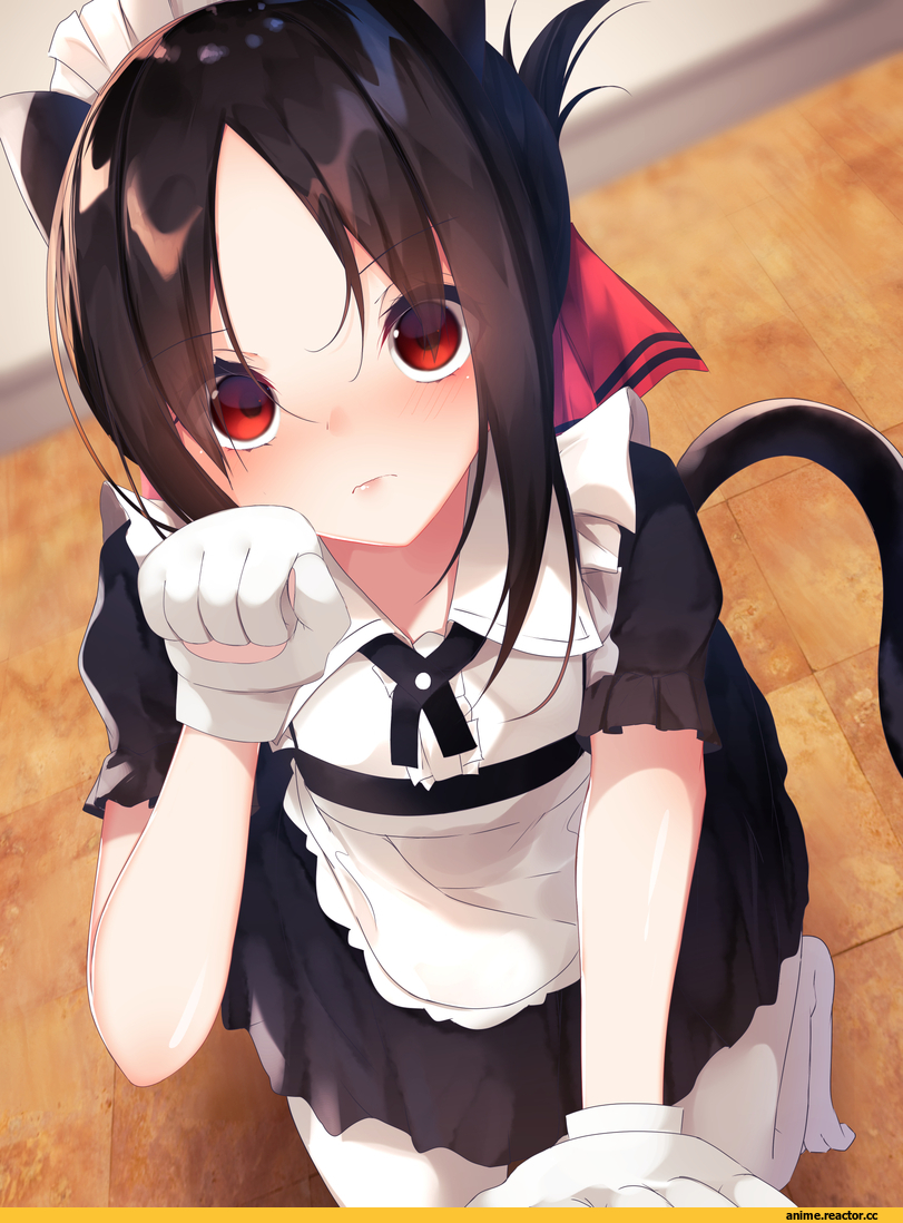 Shinomiya Kaguya, kaguya-sama wa kokurasetai ~tensai-tachi no renai zunousen~, neko, Animal Ears, Maid, suisen-21, Anime Art, artist, Anime