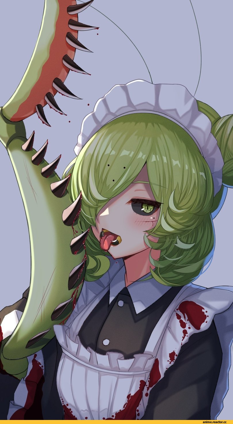 plan (planhaplalan), Anime Art, artist, Monster Girl (Anime), Insect Girl, Maid, Anime