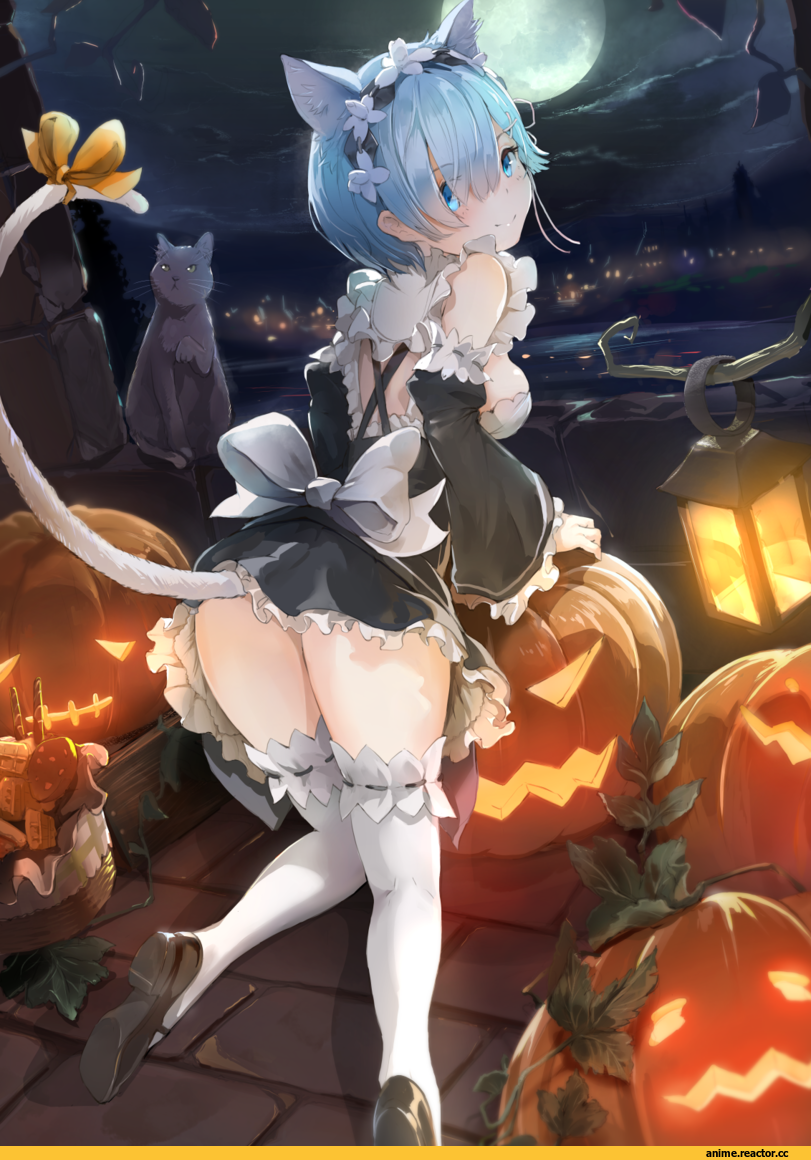 Rem (re zero), Re Zero Kara Hajimeru Isekai Seikatsu, nekomimi, Animal Ears, Anime Halloween, aqua sau, Anime