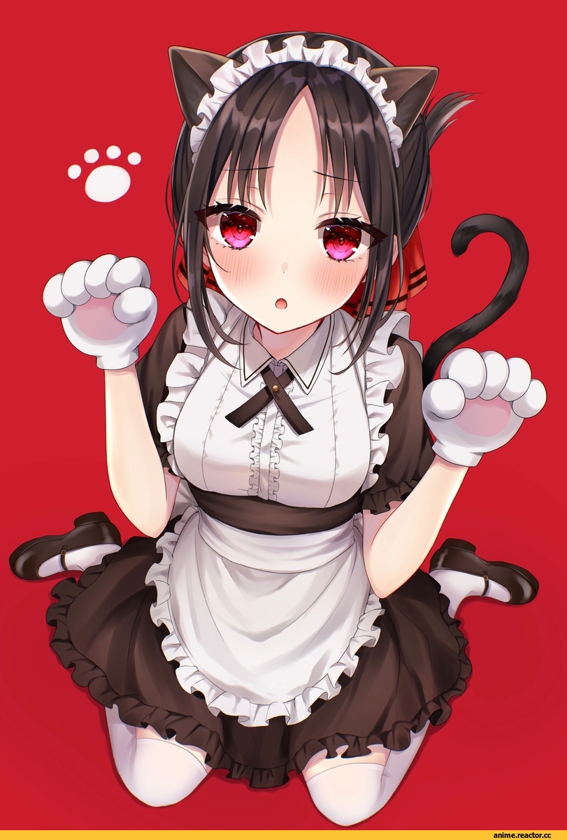 Maid, Anime Art, artist, Animal Ears, parum39, Shinomiya Kaguya, kaguya-sama wa kokurasetai ~tensai-tachi no renai zunousen~, Anime
