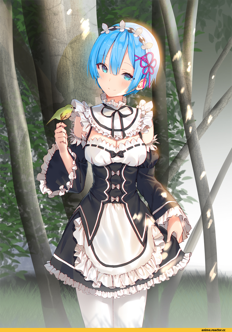 Rem (re zero), Re Zero Kara Hajimeru Isekai Seikatsu, lloule, Anime
